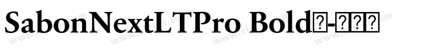 SabonNextLTPro Bold◆字体转换 SabonNextLTPro Bold◆字体转换